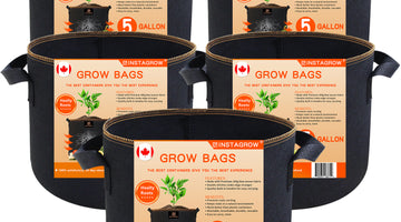 Weekly Free Giveaway for INSTAGROWers week 2#  April 29-May 5