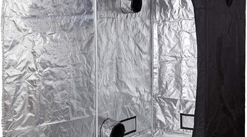 Double 11 Free Giveaway 4x2x6 INSTAGROW TENT.